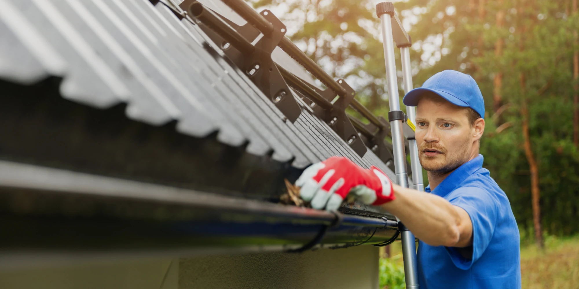 Gutter Cleaning