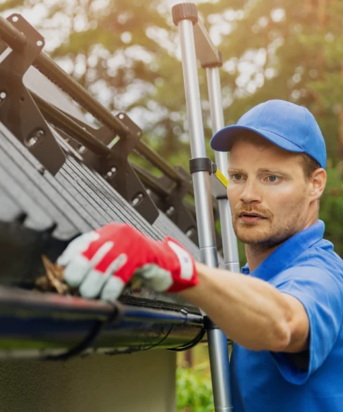 Gutter Cleaning